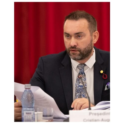 Cristian Niculescu Țâgârlaș: Pot conluziona că DECIZIA CCR în cazul Șoșoacă este NEDEMOCRATICĂ și în afara sferei de competență a AUTORITĂȚII