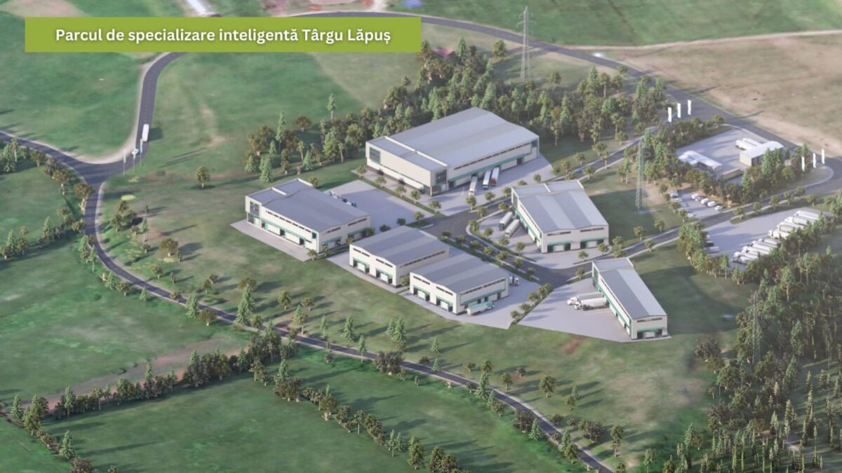 Dezvoltare PARC SPECIALIZARE INTELIGENTĂ Târgu Lăpuș