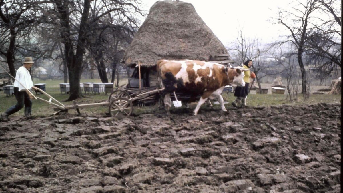 Breb, Maramureș – Să cunoaștem Maramureșul (17)