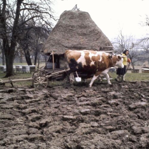 Breb, Maramureș – Să cunoaștem Maramureșul (17)