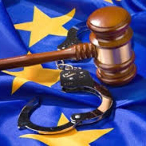 MANDAT EUROPEAN DE ARESTARE PUS ÎN EXECUTARE DE POLIȚIȘTI, ÎN COOPERARE CU AUTORITĂȚILE DIN FRANȚA