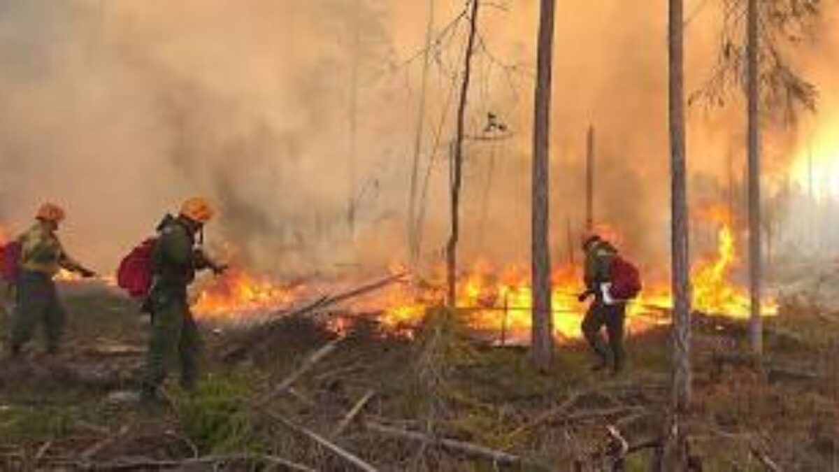 Încă mai ARDE Vârful Șatra din Țara Lăpușului. INCENDIUL a afectat 19 ha de lizieră și vegetație uscată