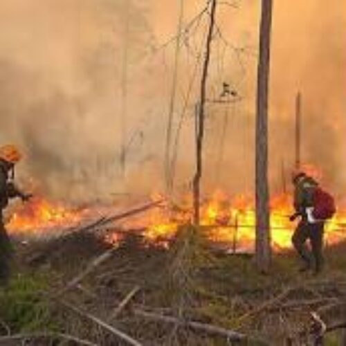 Încă mai ARDE Vârful Șatra din Țara Lăpușului. INCENDIUL a afectat 19 ha de lizieră și vegetație uscată