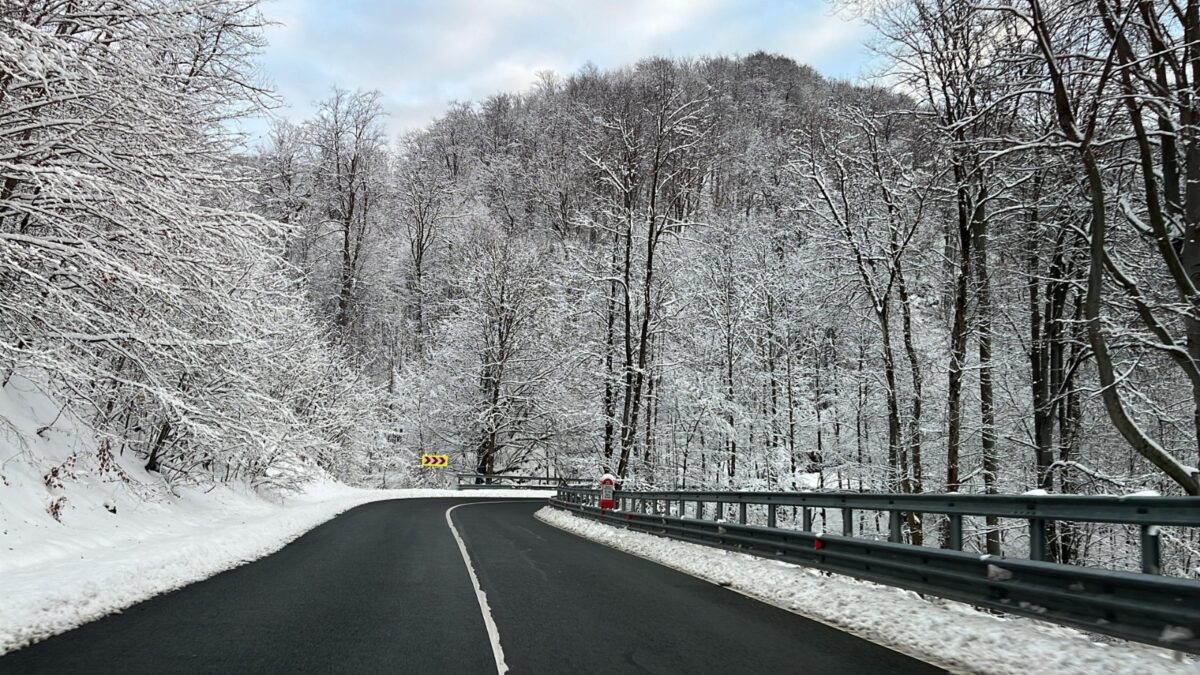 Județul Maramureș: COD GALBEN, valabil până la ora 10:30. Ceață ce determină vizibilitate redusă!