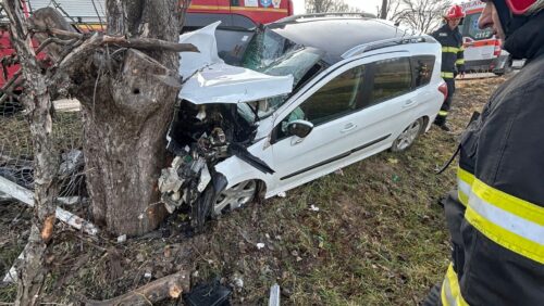 ACCIDENT RUTIER. Autoturism intrat într-un copac