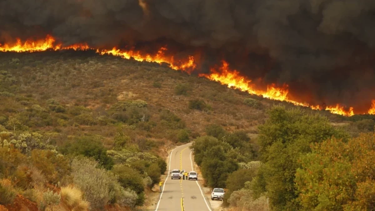 Incendii devastatoare în California. Cinci persoane au murit. Mii de hectare afectate de flăcări