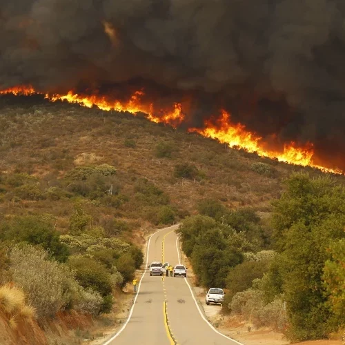 Incendii devastatoare în California. Cinci persoane au murit. Mii de hectare afectate de flăcări