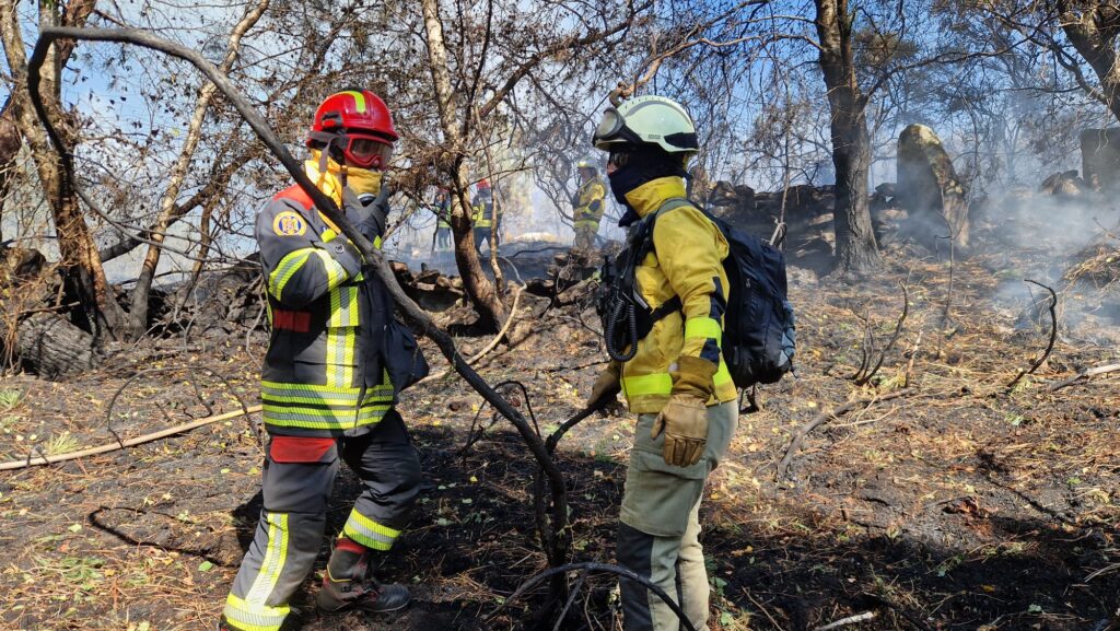 1000150114-1024x577 Pompierii români, în prima linie a luptei cu incendiile din Spania: ziua a patra de intervenție în Ourense