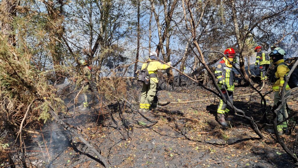 1000150117-1024x577 Pompierii români, în prima linie a luptei cu incendiile din Spania: ziua a patra de intervenție în Ourense