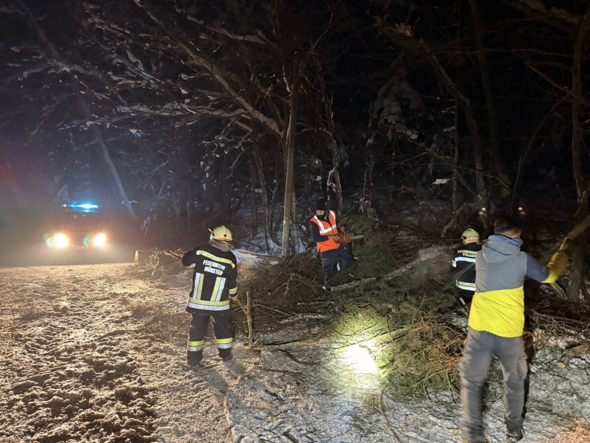 615421296_122165727044773015_3532864001880026392_n-1200x900 Pompierii voluntari de la SVSU Târgu Lăpuș au intervenit prompt pe DJ 171 E. Traficul a fost blocat la intrarea în Stoiceni, după căderea unui copac pe carosabil