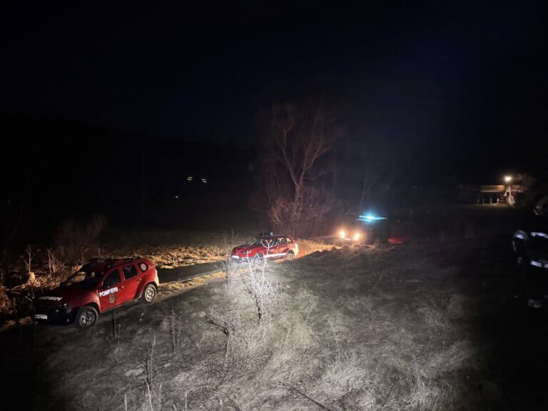 656048182_122173113956773015_540758748023239291_n-768x576 Incendiu puternic la Fântânele. Aproximativ 9 hectare de vegetație au ars