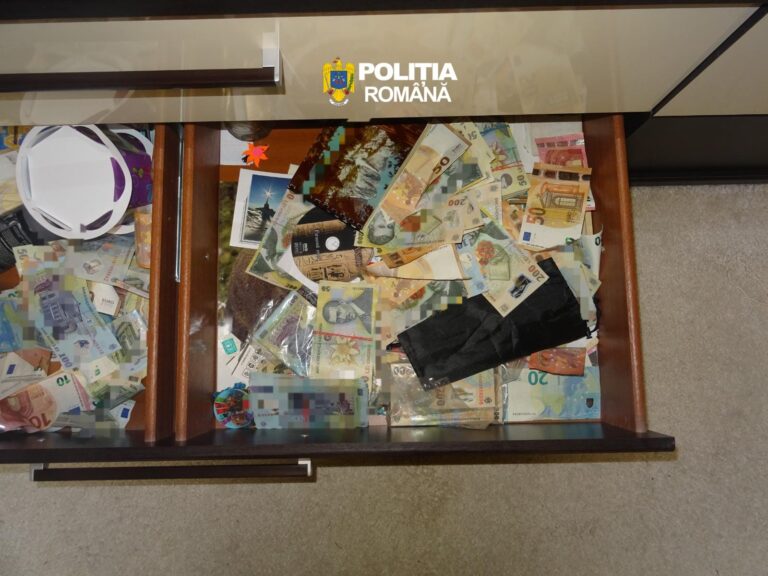 1000210079-768x576 Percheziții ample în Maramureș: opt persoane reținute și peste 150 mc de lemn indisponibilizat