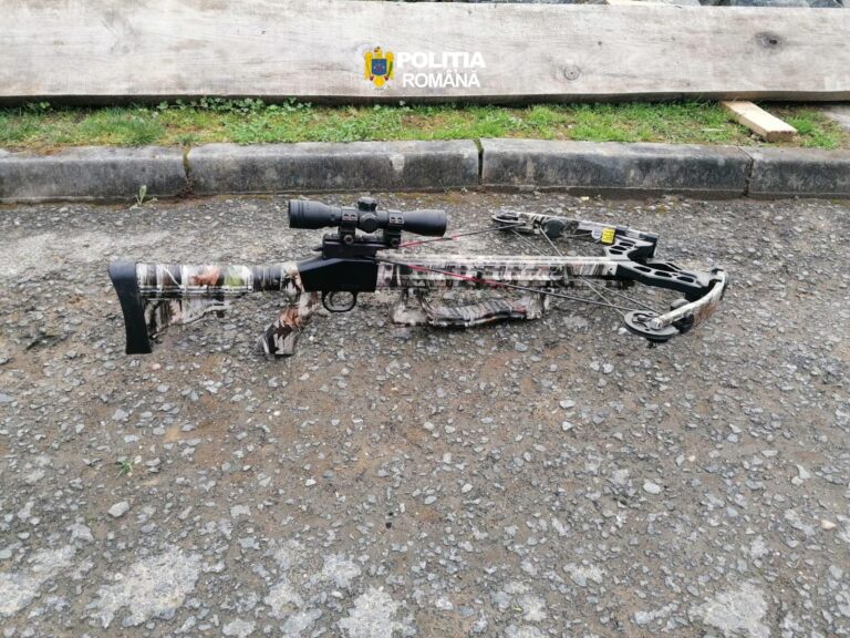 1000210085-768x576 Percheziții ample în Maramureș: opt persoane reținute și peste 150 mc de lemn indisponibilizat